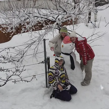 B&B Chambres D'hotes La Bessonnerie 부르생모리스